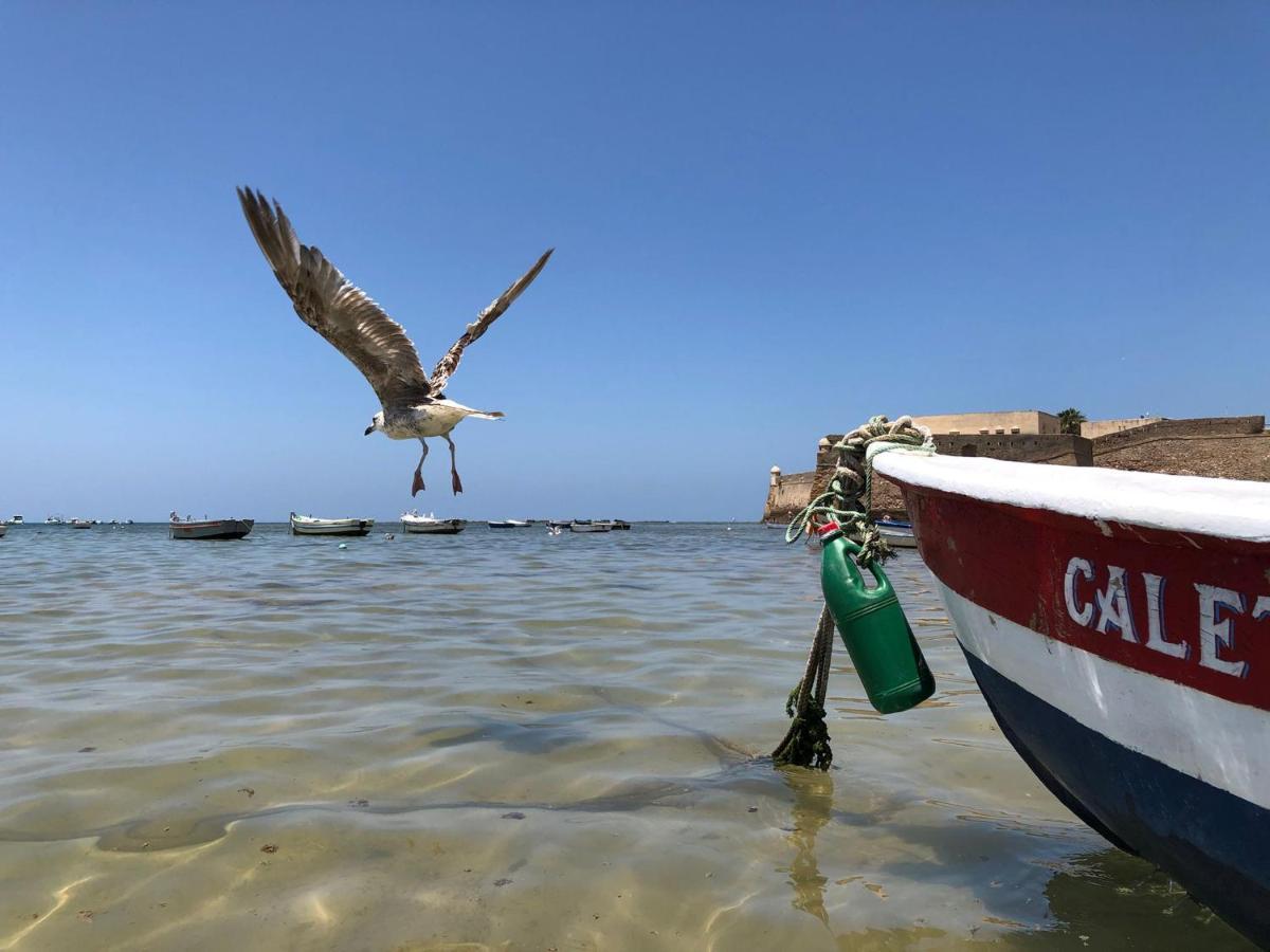 Planeta Cádiz